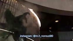 جنگ رائفی پور با محمدرضا گلزار