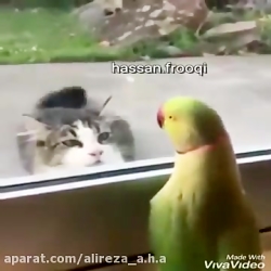 میترکی از خنده فوق‌العاده باحا...