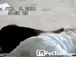 عجب کشتی گیریه