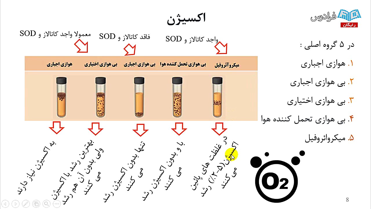 آموزش میکروبیولوژی پزشکی (میکروب‌ شناسی) درس 1: میکروبیولوژی عمومی - بخش 3 باند ضد باکتری نانو