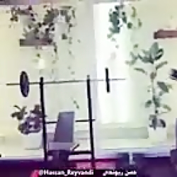 شاخ ترین بدنساز