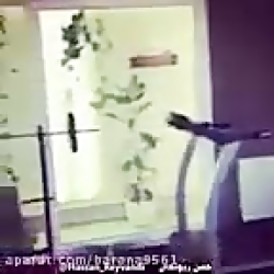 شاخ ترین بدنساز