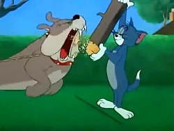 کارتون تام و جری قسمت ۲۴