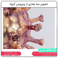 تصویر ویروس کرونا