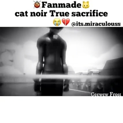 مرگ کت نوار جلوی لیدی باگ