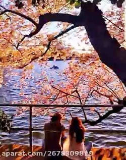 موسیقی اصیل - آهنگ قصه شب  - خ...
