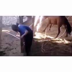 کلیپ زیبا و خنده دار.