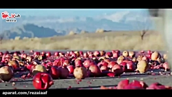 تیزر فیلم سینمایی مواجهه