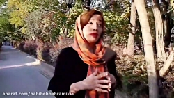 تفاوت کوچینگ با سایر مهارت ها