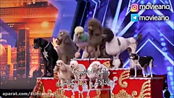 اجرای زیبای خانواده Dominguez...