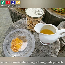 کباب ترکی به سبک سلام