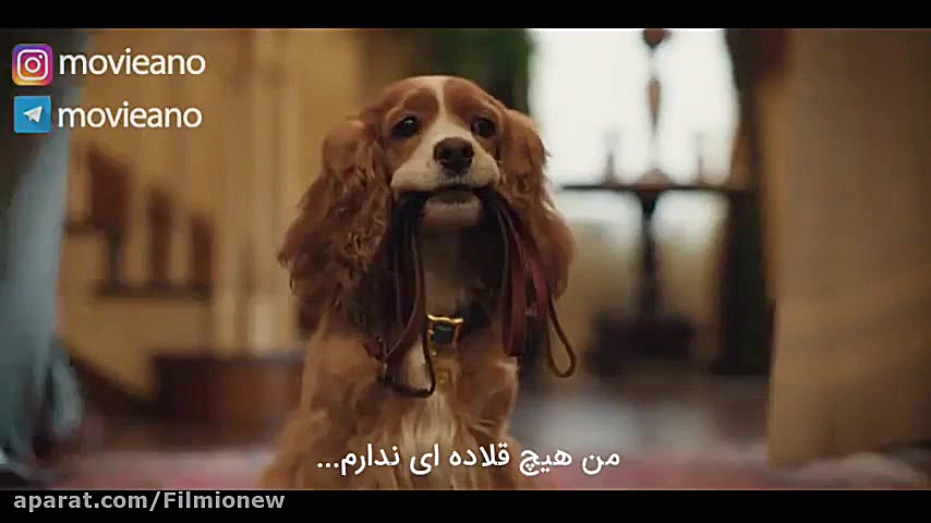 تریلر فیلم Lady and the Tramp 2019 زمان84ثانیه