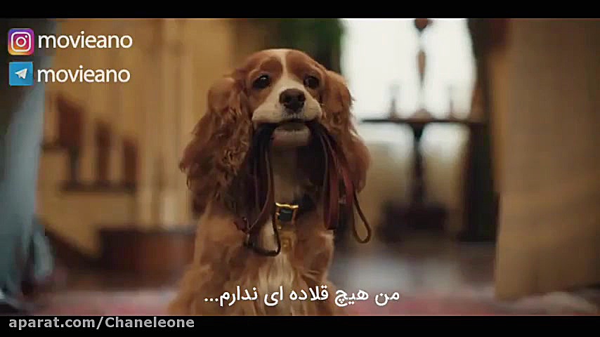 تریلر فیلم Lady and the Tramp 2019 زمان84ثانیه