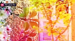 نماهنگ شبکه آموزش - عیدانه