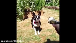 ماین کرافت در مقابل واقعیت.قسم...