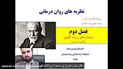 نظریه رواندرمانی، فروید، پروچا...