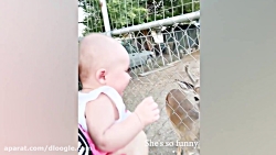 بچه های خنده دار با حیوانات دی...