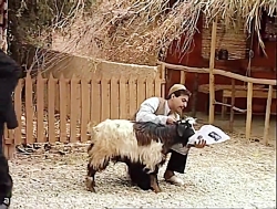 سریال شبهای برره این قسمت بازر...