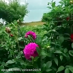 آهنگ عاشقانه آهنگ غمگین آهنگ ا...