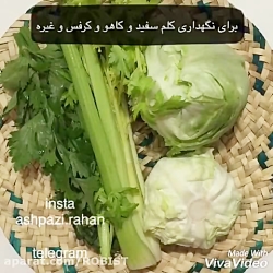 #نگهداری_سبزیجات_دریخچال