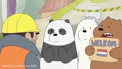 خرس های کله فندقی