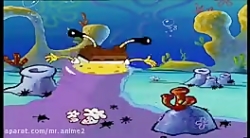 باب اسفنجی چای در خانه ی درختی