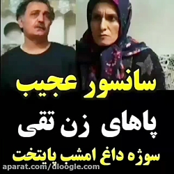 سانسور قاب عکس در سریال پایتخت