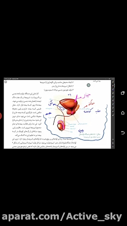 کلاس آنلاین زیست دکتر حسنی 1