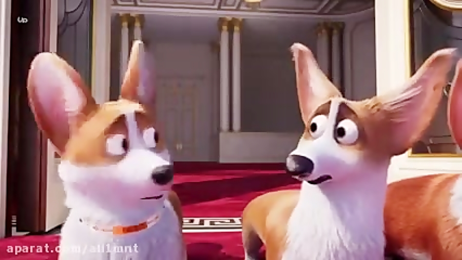 انیمیشن سینمایی  The Queens Corgi 2019 سگ مورد علاقه ملکه  دوبله  کانال گاد زمان5030ثانیه