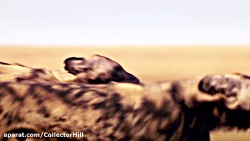 مستند شکار قسمت ۱ دوبله فارسی