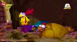 خروس زیرک روباه  کلک - غفلت