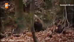 قسمت 16 سریال قیام عثمان زیرنو...