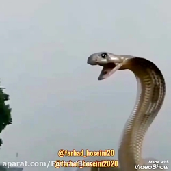 بعد از کرونا (کلیپ طنز خفن)