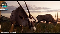 تریلر فیلم The Lion King 201