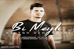 آهنگ صادق دهقانی - بی میلی