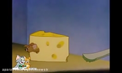 کارتون تام و جری تام و جری