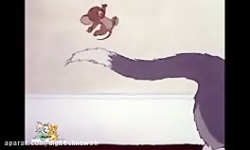 کارتون تام و جری تام و جری