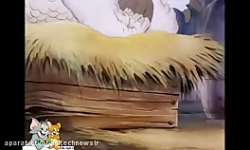 کارتون تام و جری تام و جری