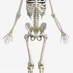 آیا می دانستید 3