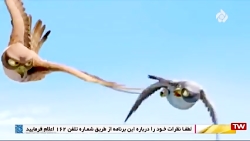 کارتون سینمایی شهر پرندگان
