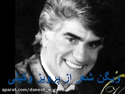 دل دیوانه | اجرای آهنگ ویگن توسط سه هنرمند افغان
