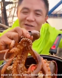 خوردن اختاپوس توسط یه چینی