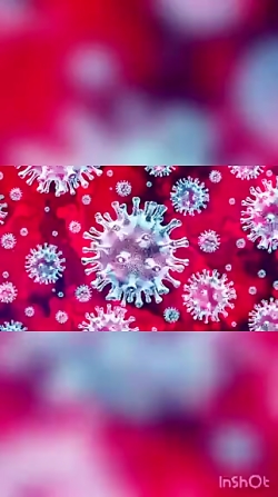 روزگار ما بعد از کشف واکسن کرو...