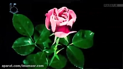 عدالت گمشده در آخر الزمان استا...