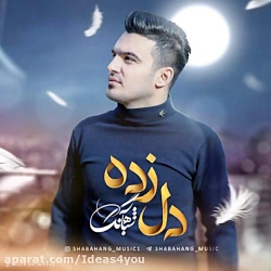 اهنگ شباهنگ به نام دل زده - کا...