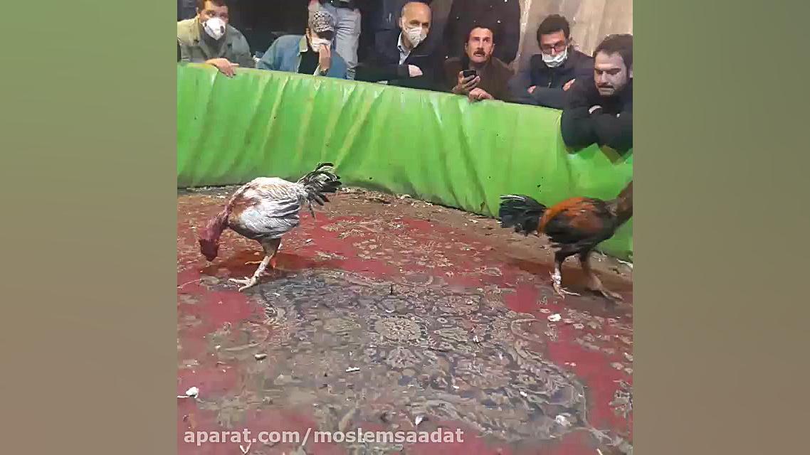 اینم برا لاری بازای عزیز پیج مارو به دوستان خود معرفی کنید زمان213ثانیه