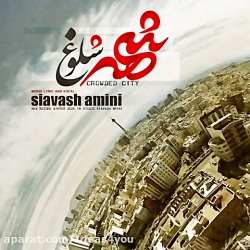 اهنگ سیاوش امینی به نام شهر شل...