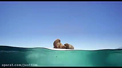 تریلر مستند" سیاره آبی ما "  Oceans Our Blue Planet (2019)   زمان104ثانیه