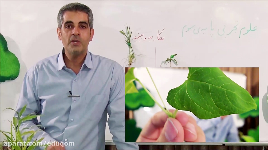 علوم سوم دبستان  فصل یازدهم (...