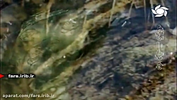 کلیپی از ترانه " بارون می اومد...